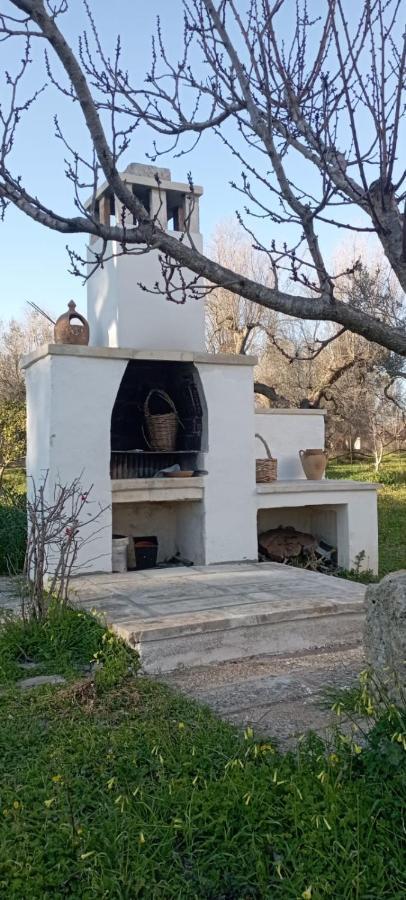 La Petraia Villa Magliano Exterior photo