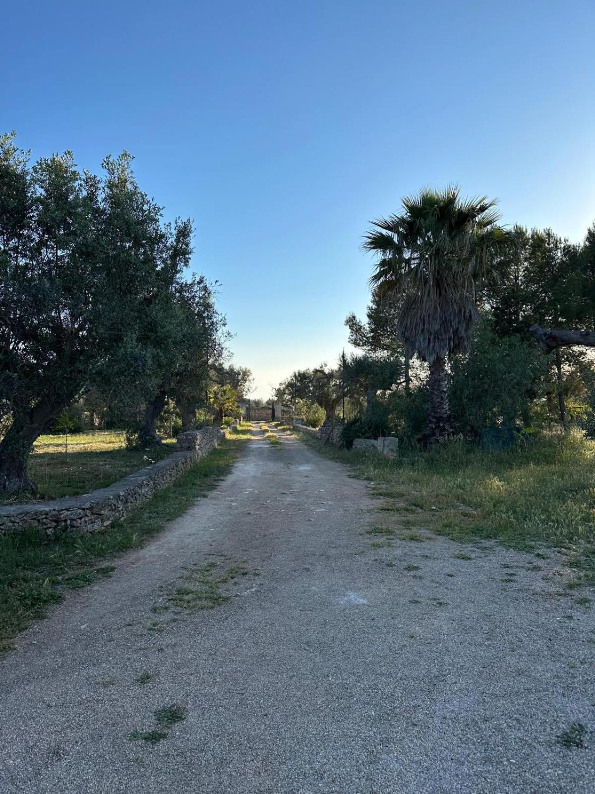 La Petraia Villa Magliano Exterior photo